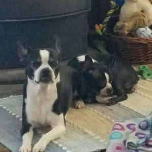 Meet your Posher, Karie